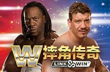 Microgaming linkandwin.webp