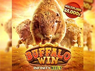 PG Soft bufallo-win.webp